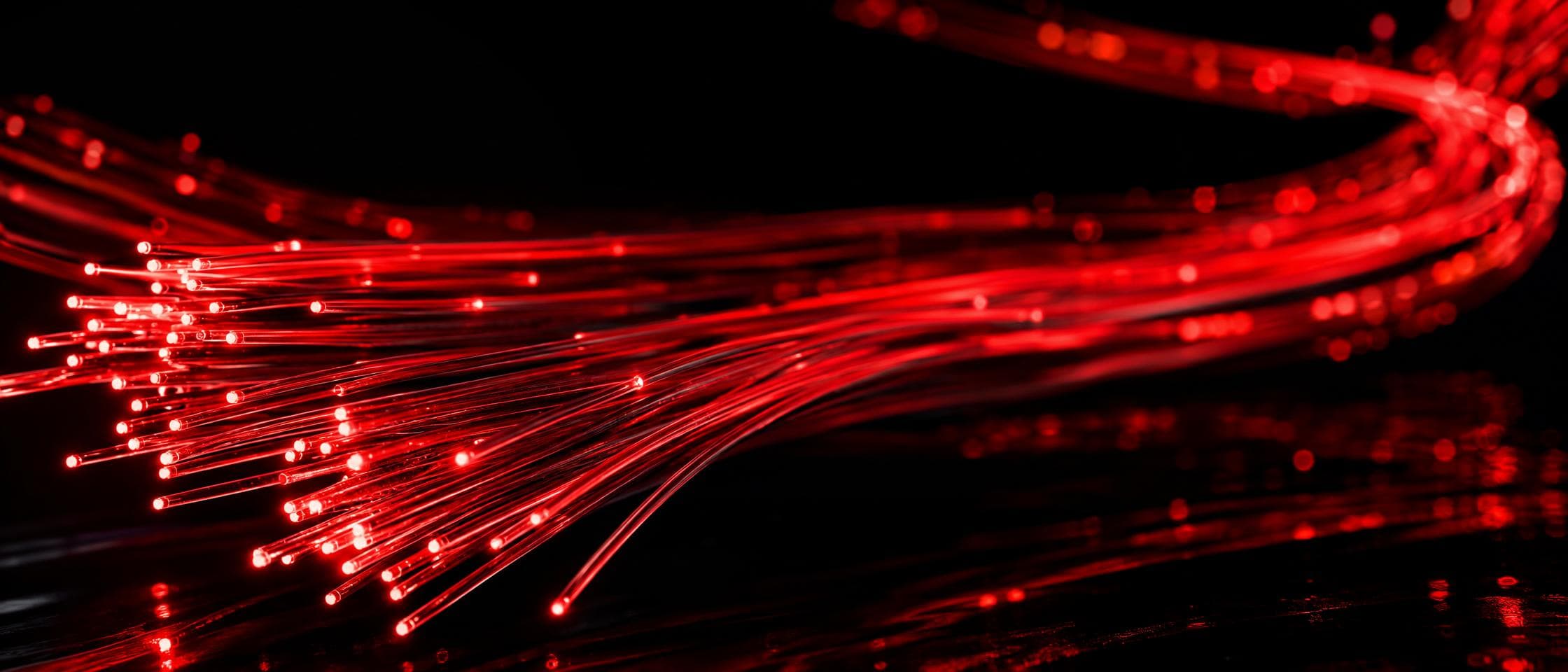 Cables de fibra óptica iluminados